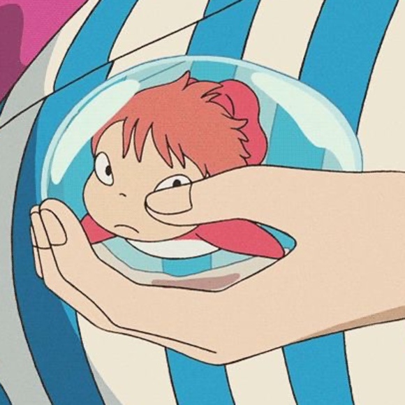 Meet your Posher, Zandra - Picture 1 of 1